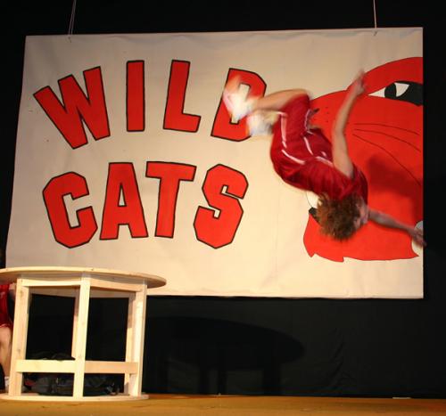 2007.02.10 turnerball 7666 1