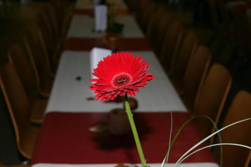 2007.11.10 turn gala0 002