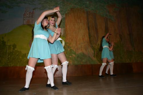 2011.02.26 turnerball 2011 071