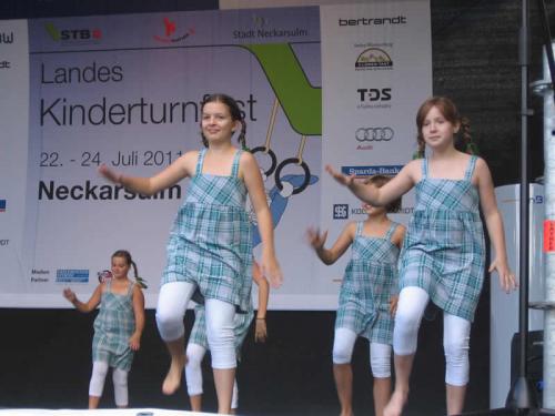 2011.07.22 24 landes kitu fest 191