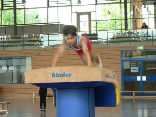 2011.07.22 24 landes kitu fest 278