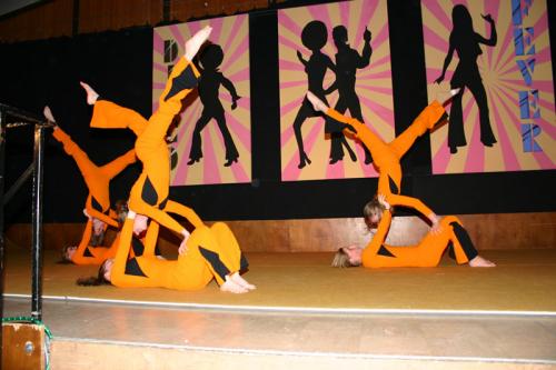 2012.02.11 turnerball 065