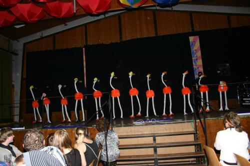 2012.02.11 turnerball 105