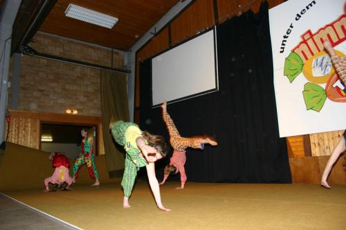 2013.02.02 MVE TVE Vereinsball Nimm2 166