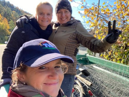 28564891-d7b8-43d1-8b39-0fa71fbf725b