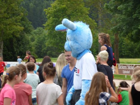 Kinderturnfest 2016 184