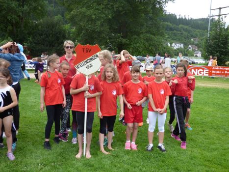 Kinderturnfest 2016 208