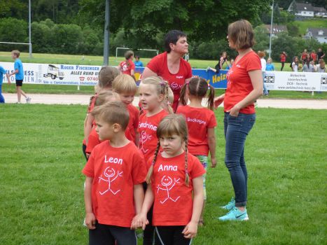 Kinderturnfest 2016 234