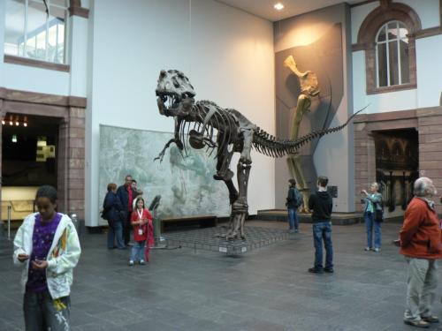 turnfest frankfurt 2009 082